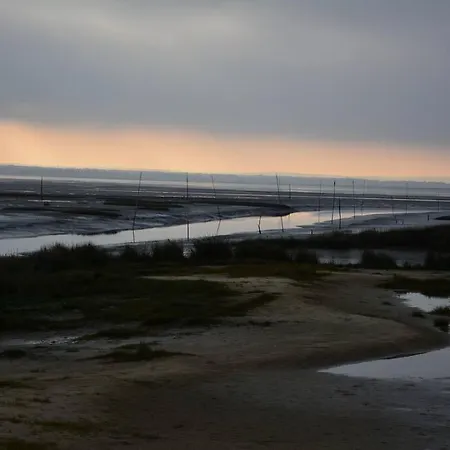 Prive Au Calme Andernos-les-Bains